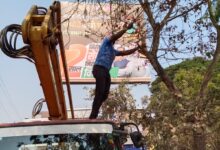 kshititech सक्ती: बस स्टैंड मार्ग से हटाए गए कटीले पेड़, यात्रियों और राहगीरों ने ली राहत