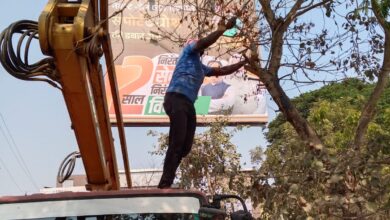 kshititech सक्ती: बस स्टैंड मार्ग से हटाए गए कटीले पेड़, यात्रियों और राहगीरों ने ली राहत